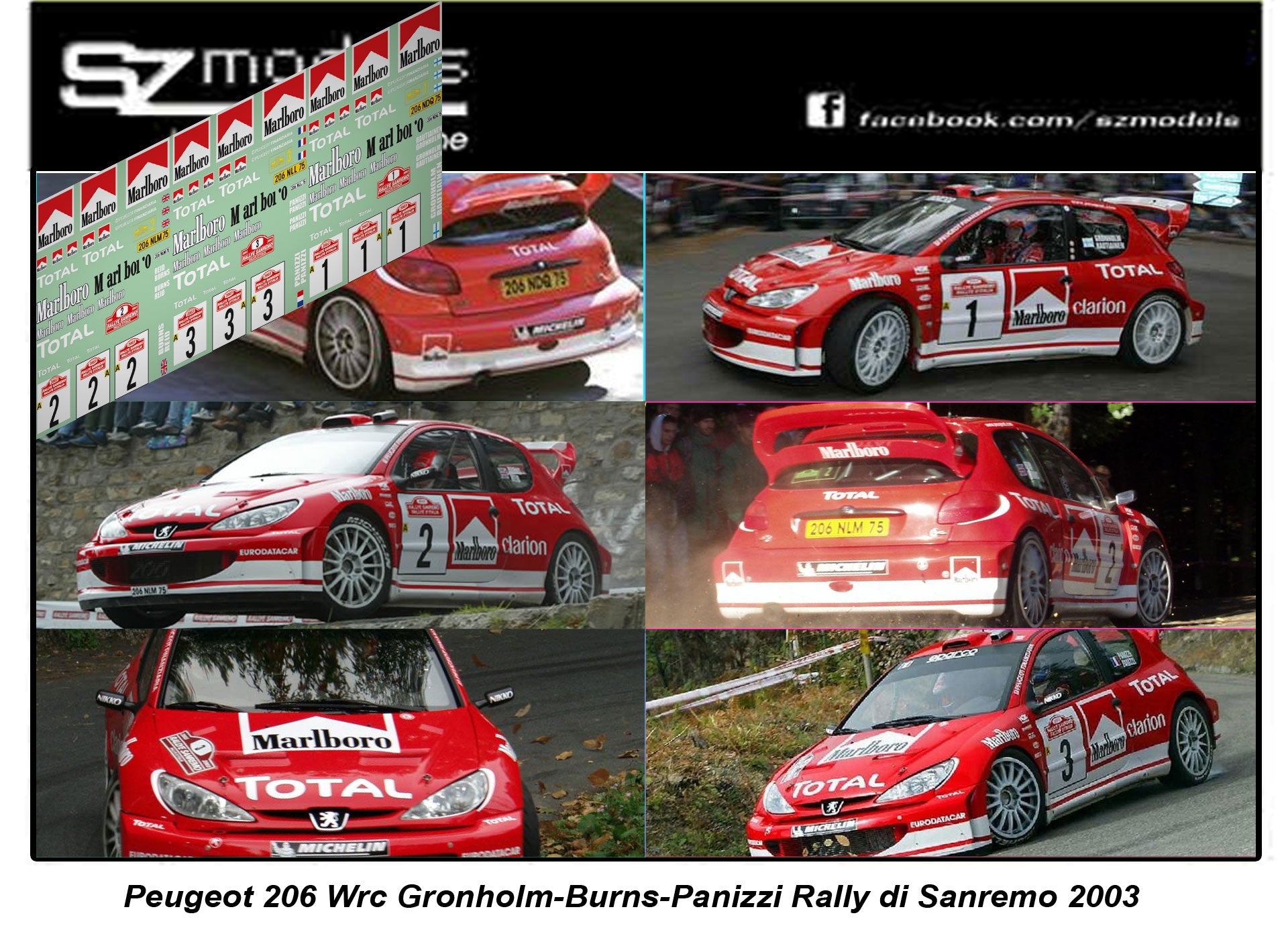 IXO 1/43 Peugeot 206 WRC - Panizzi - Rallye San Remo 2002 - Réf RAM091