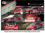 Peugeot 206 Wrc Gronholm-Burns-Panizzi Rally di Sanremo 2003