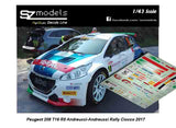 Peugeot 208 T16 R5 Andreucci Rally del Ciocco 2017