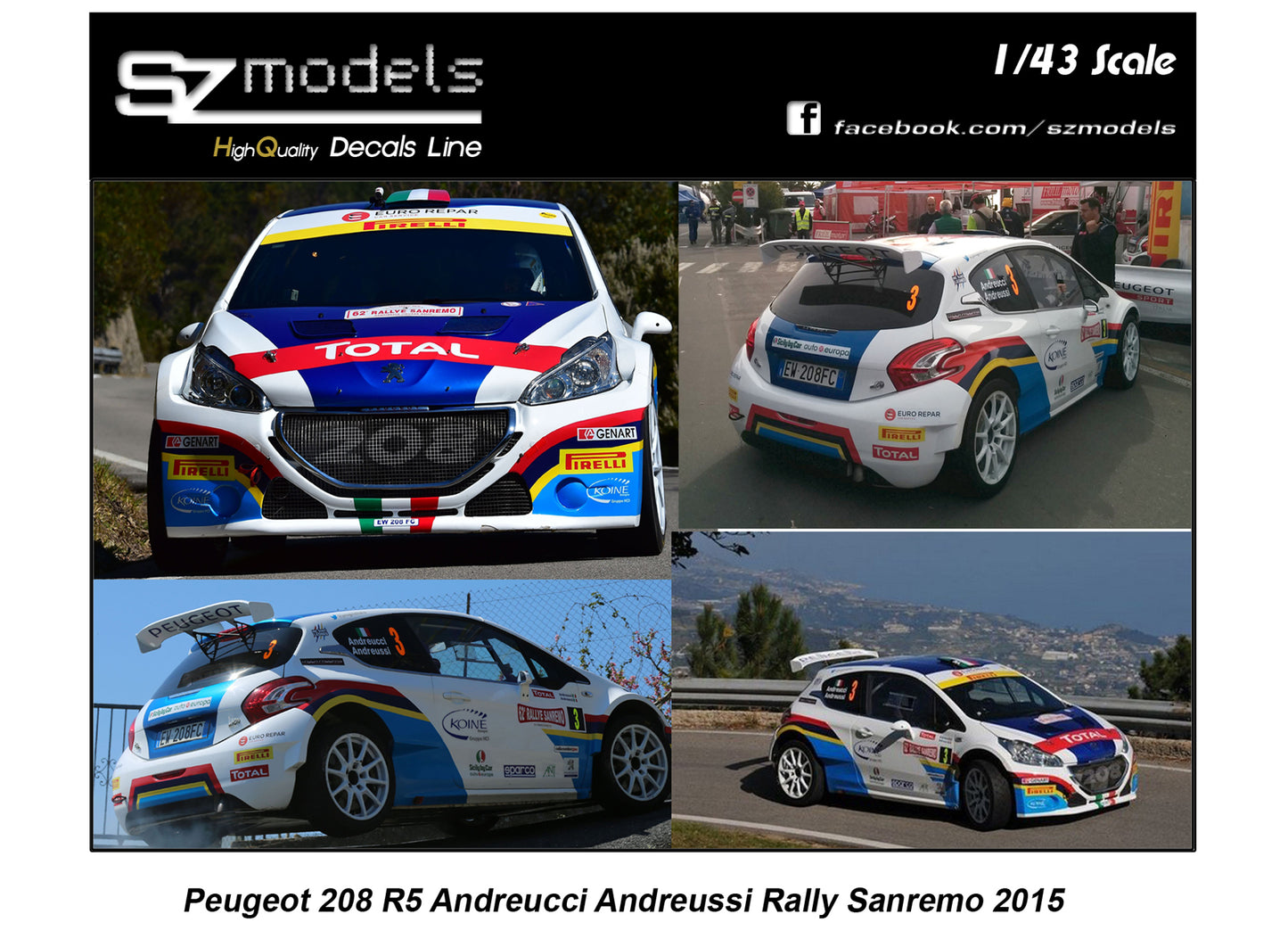 Peugeot 208 T16 R5 Andreucci Rally di Sanremo 2015