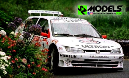 Peugeot 306 Maxi Kit Car Panizzi Madeira 1998